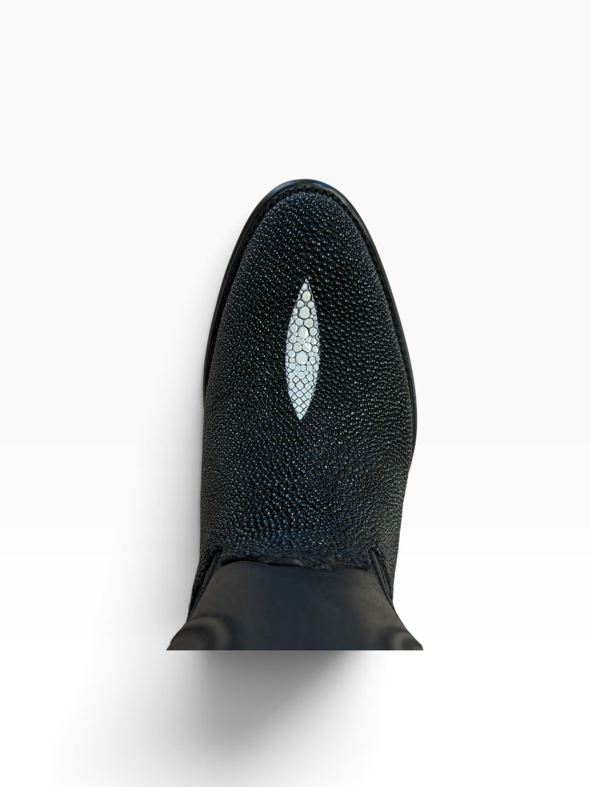 Oval manta macho