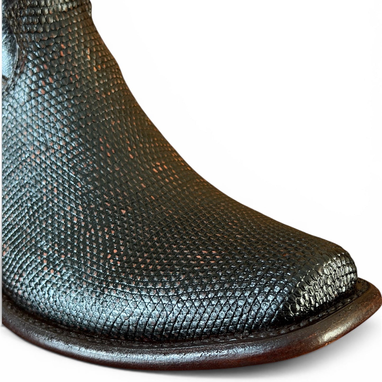 Roma Lizzard Petroleo