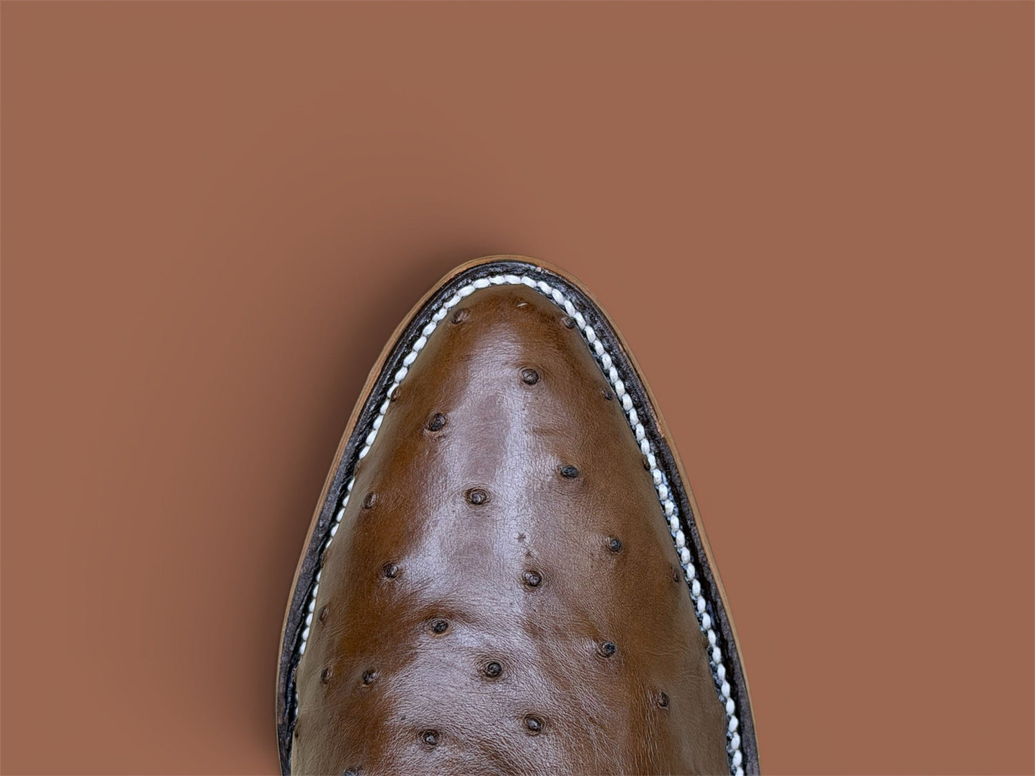 Oval Clasica