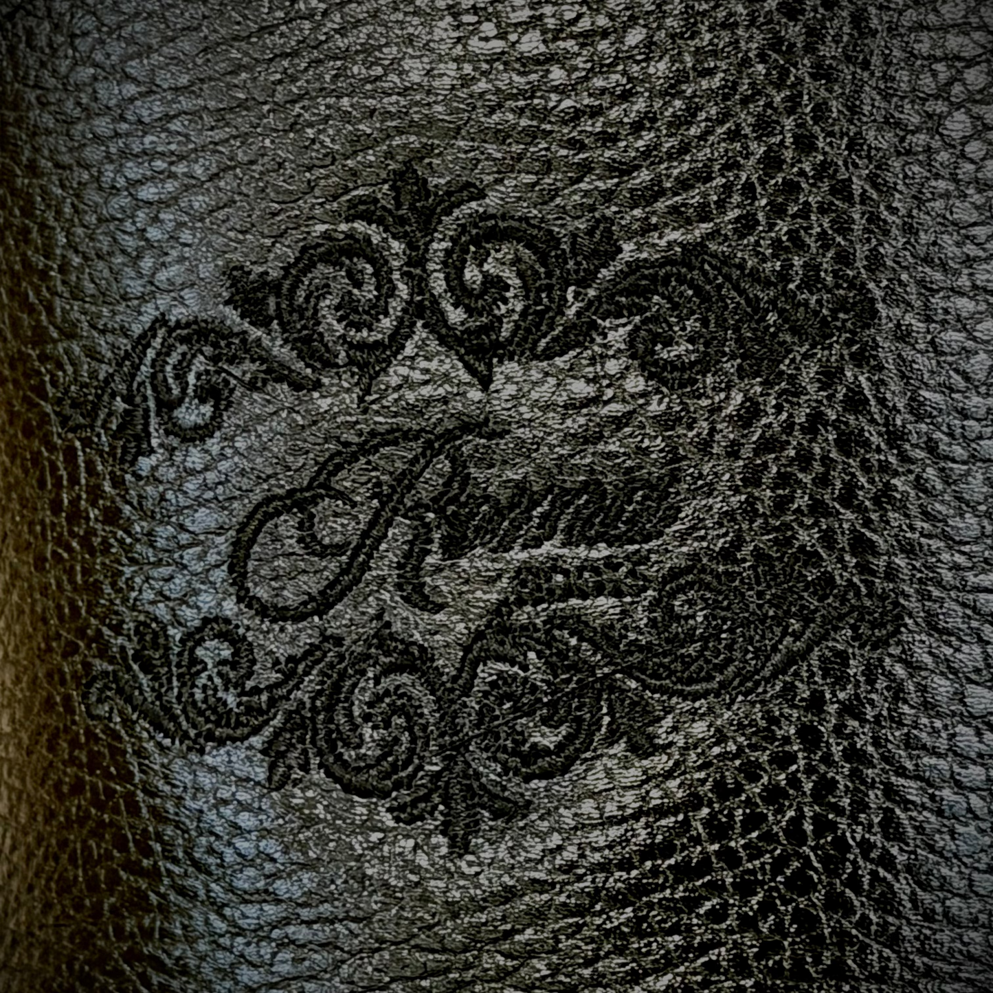 Mauro panza Caiman