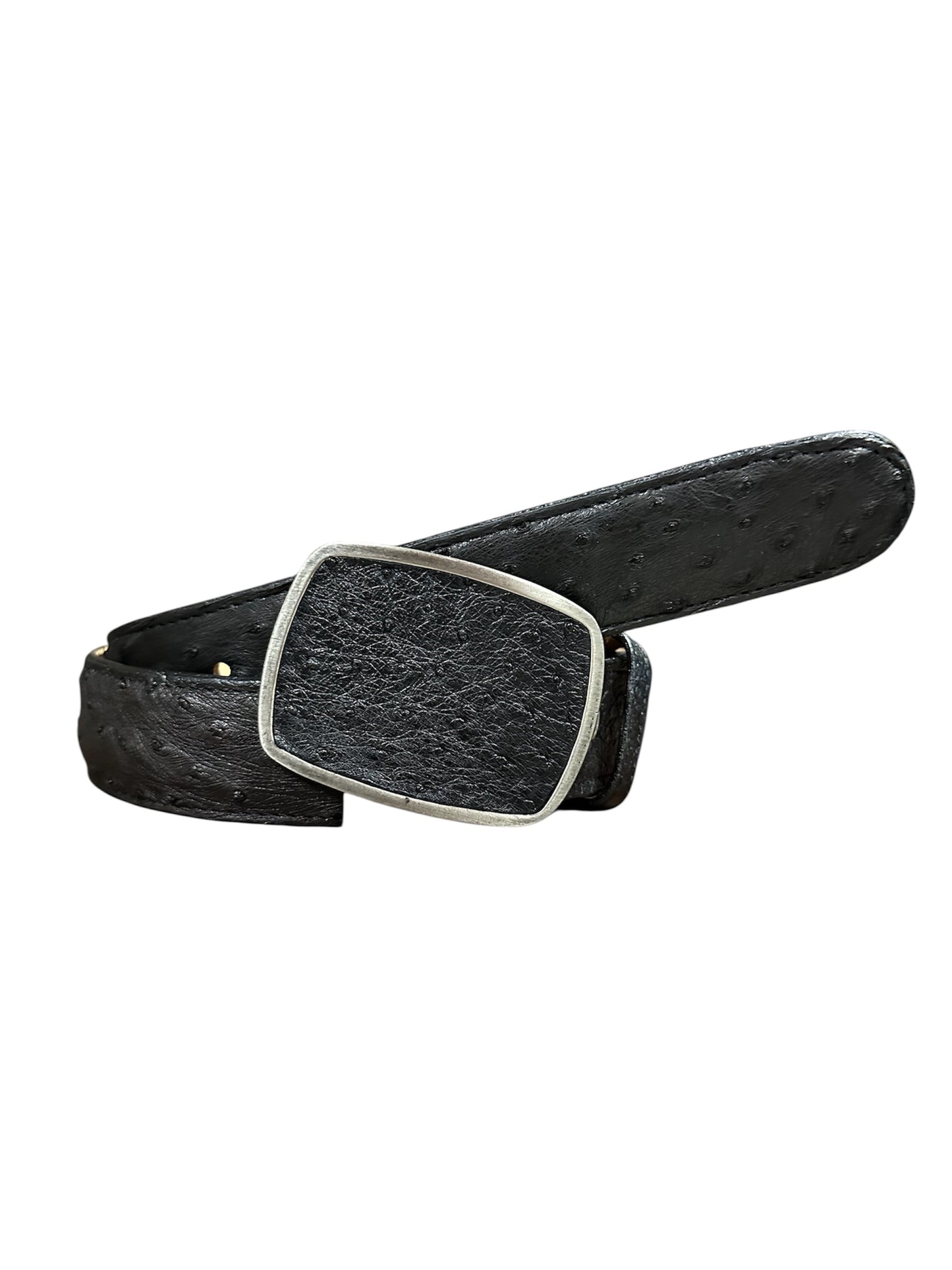 Olimpo avestruz negra