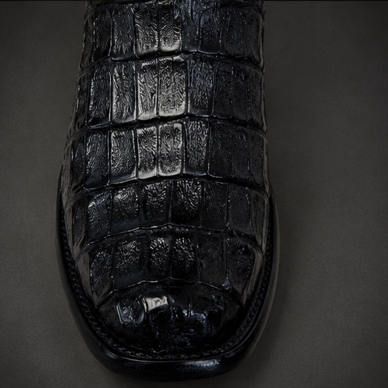 Roma panza caiman